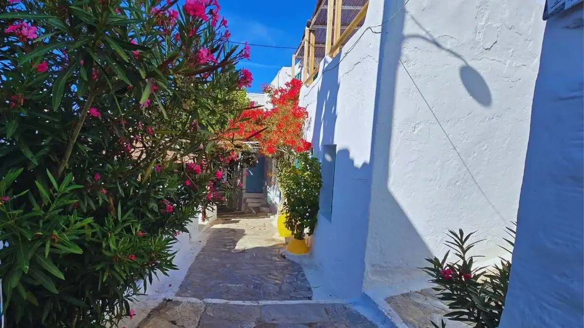 Αμοργός την άνοιξη, μονοπάτια και hiking